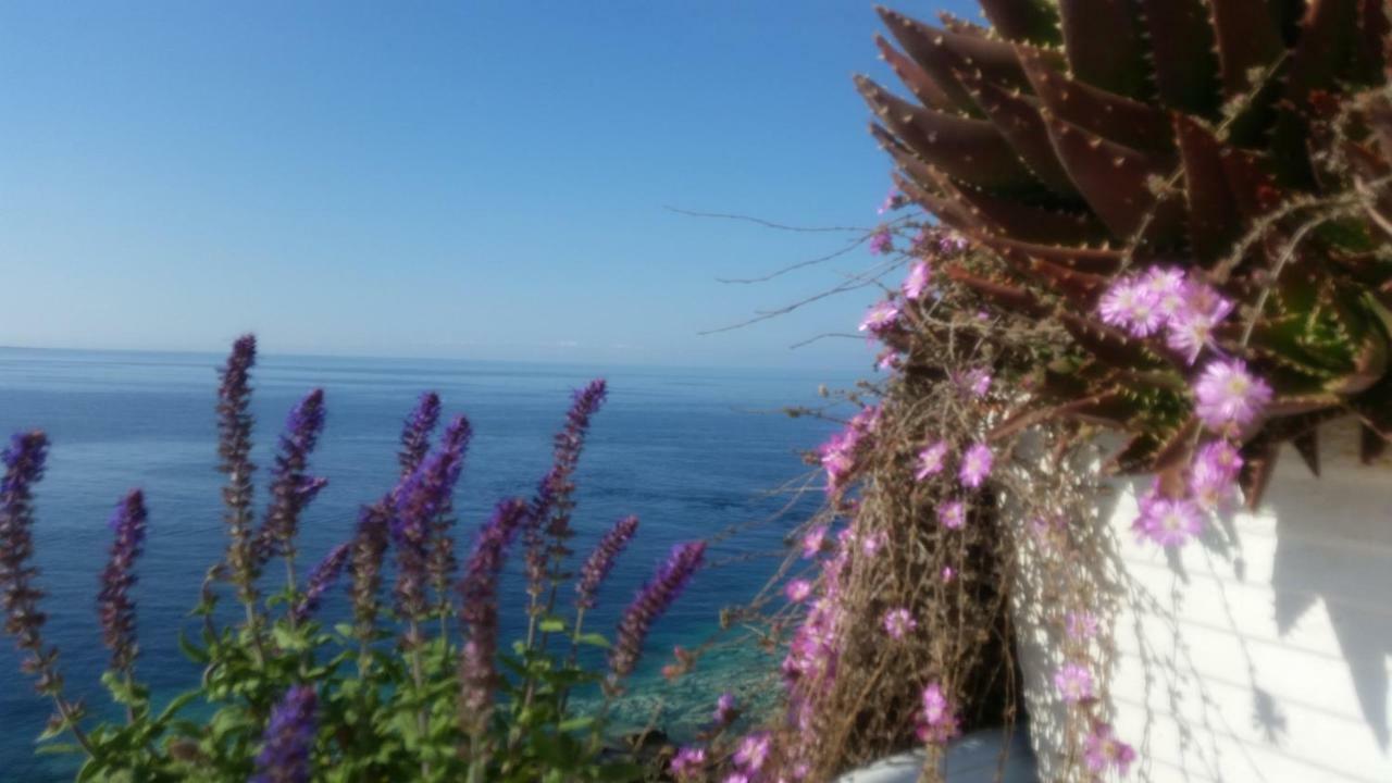 B&B Punta Cutieri Gallipoli Bagian luar foto